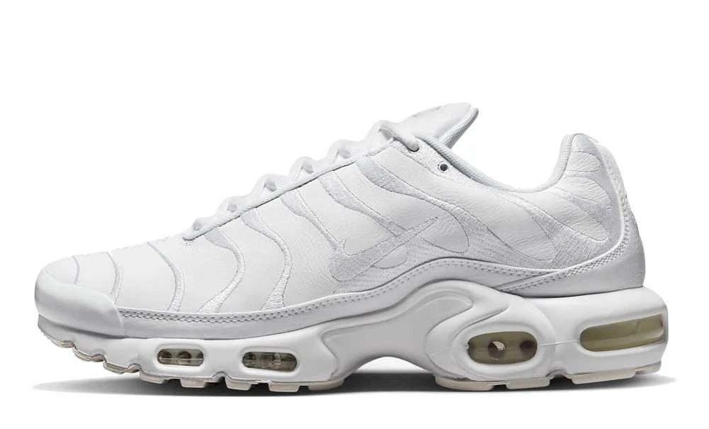 Кросівки чоловічі Nike Air Max Plus (AJ2029-100)