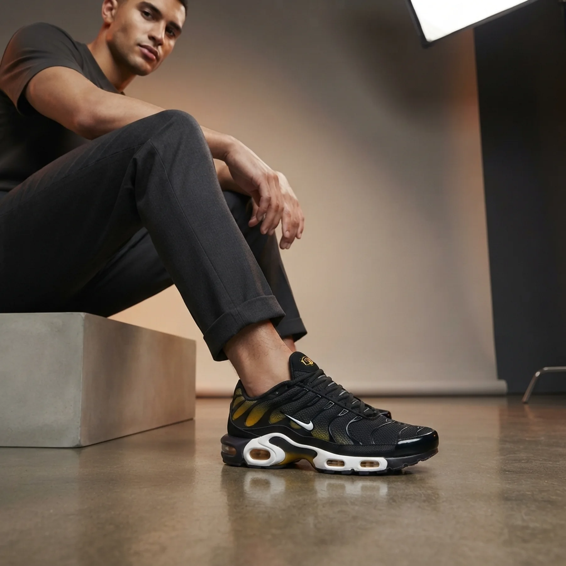 Кросівки чоловічі Nike Air Max Plus (DM0032-013)