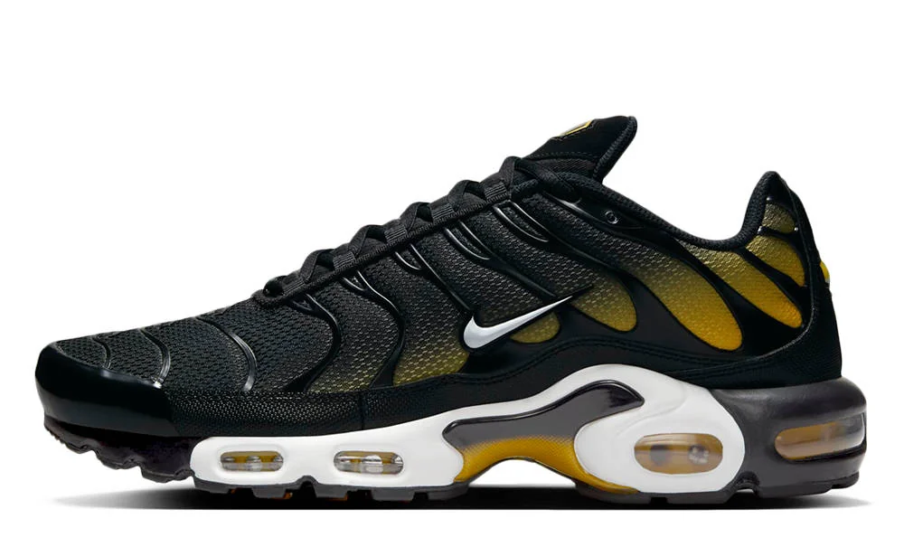 Кросівки чоловічі Nike Air Max Plus (DM0032-013)