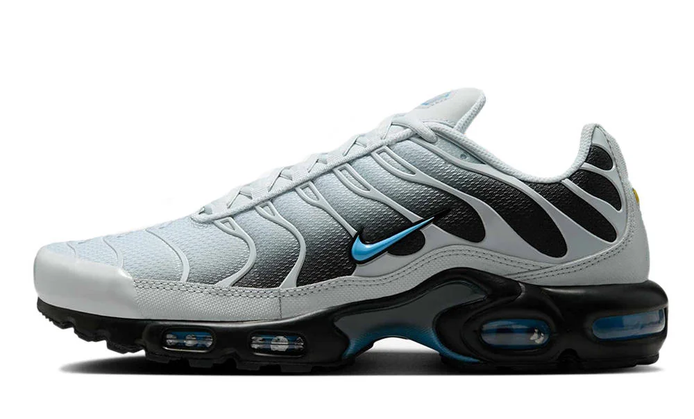 Кросівки чоловічі Nike Air Max Plus (DM0032-015)