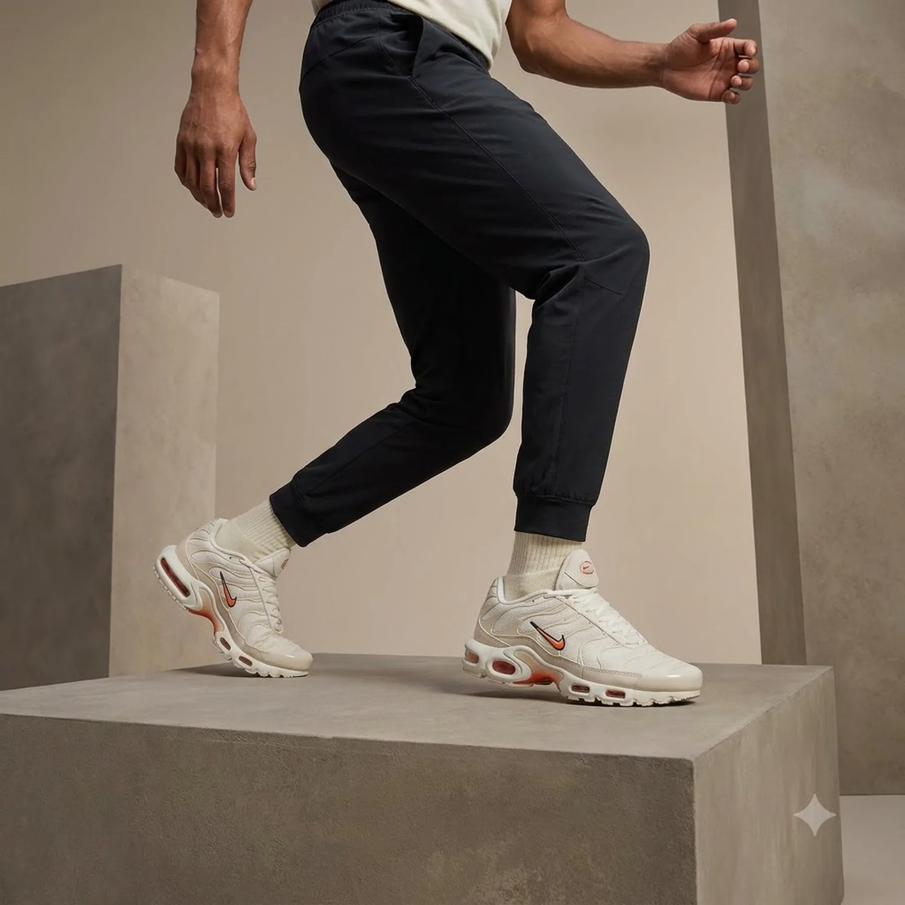 Кросівки чоловічі Nike Air Max Plus DM0032-019