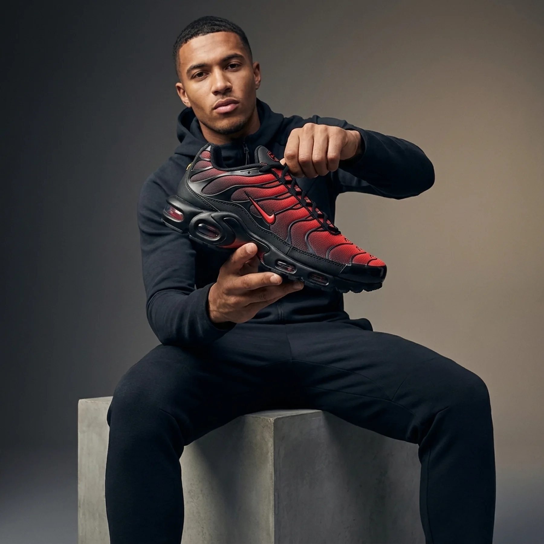 Кросівки чоловічі Nike Air Max Plus (DZ4507-600)
