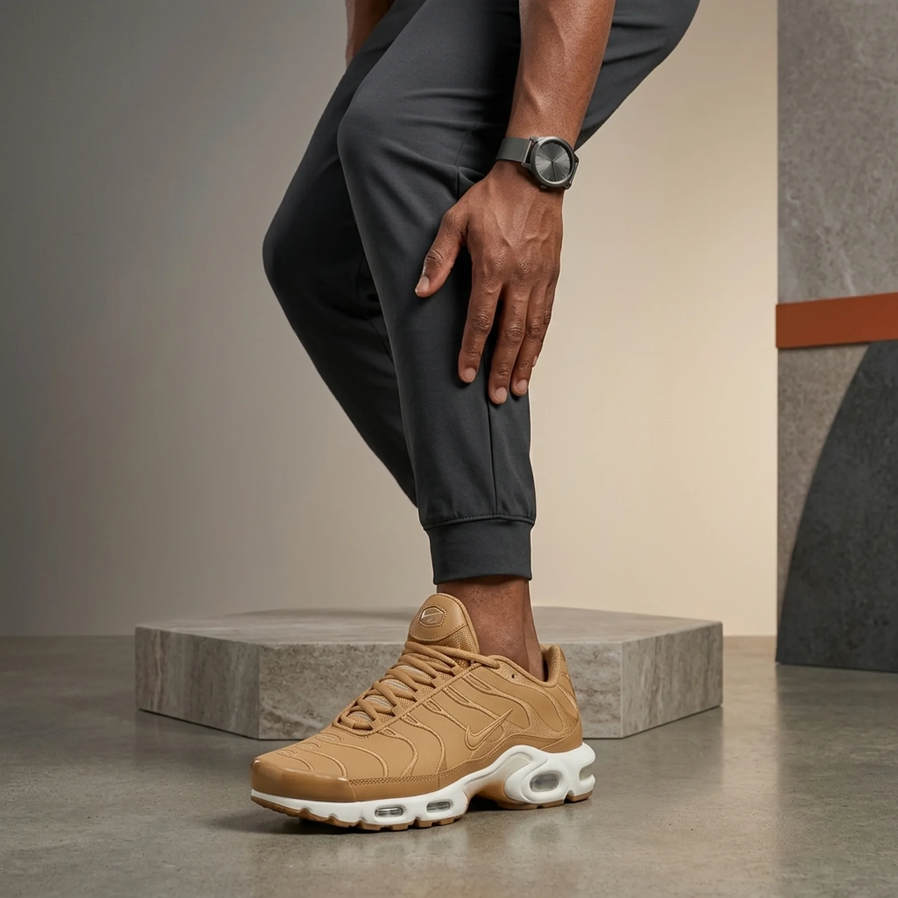 Кросівки чоловічі Nike Air Max Plus (FZ8815-200)