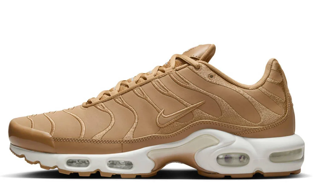 Кросівки чоловічі Nike Air Max Plus (FZ8815-200)