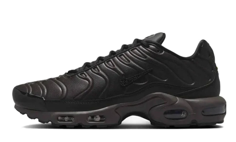 Кросівки чоловічі Nike Air Max Plus (HJ4519-200)