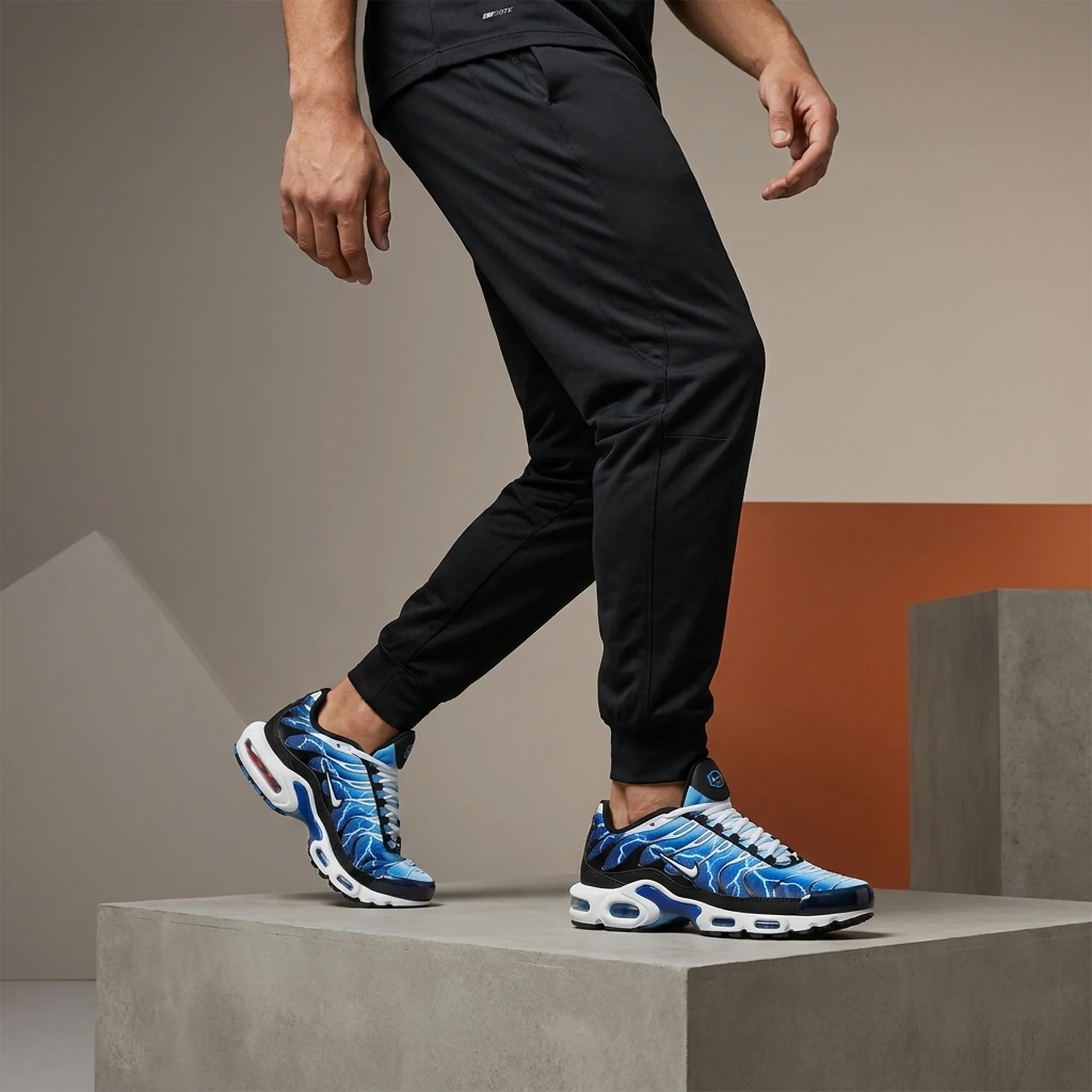 Кросівки чоловічі Nike Air Max Plus (DZ3531-400)
