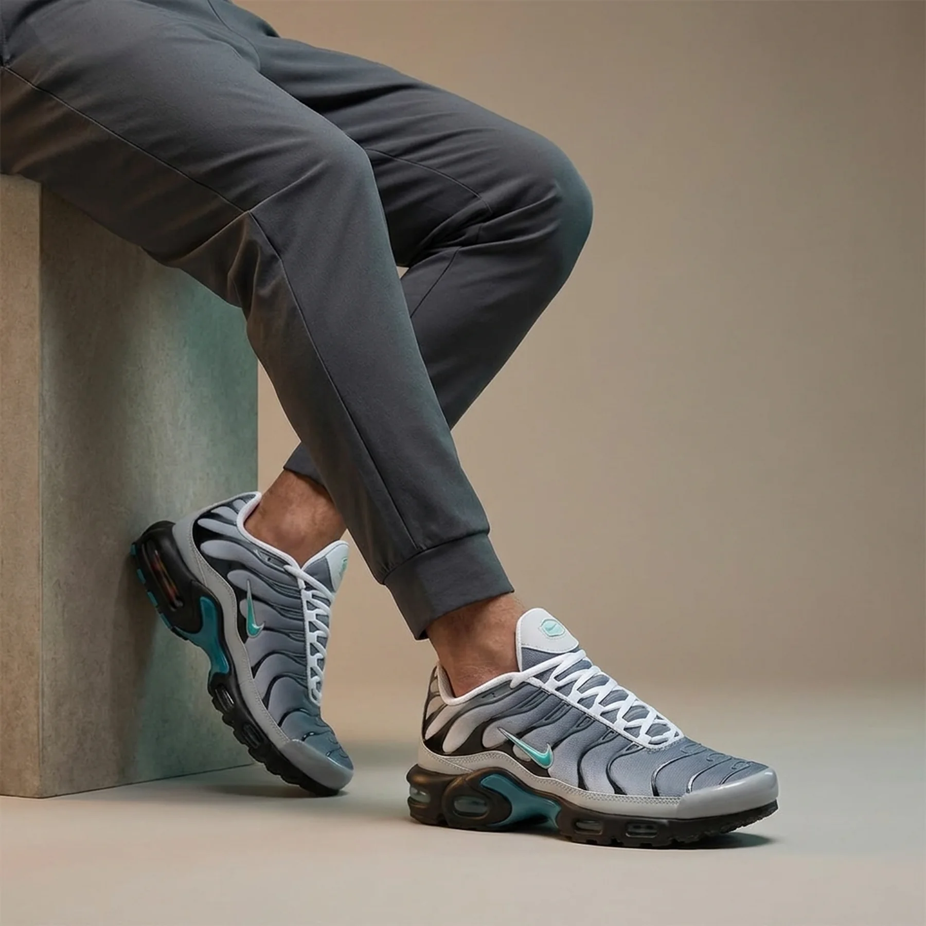 Кросівки чоловічі Nike Air Max Plus One Block Down (FZ3308-001)