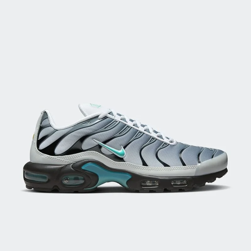 Кросівки чоловічі Nike Air Max Plus One Block Down (FZ3308-001)