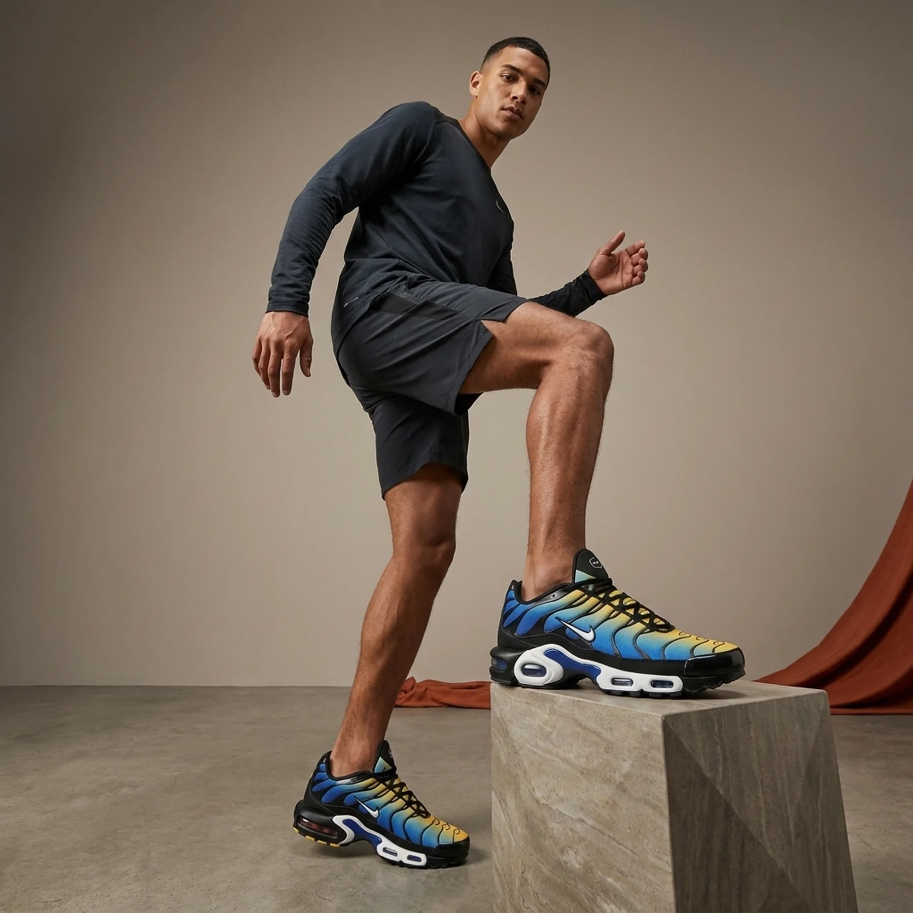 Кросівки чоловічі Nike Air Max Plus "Royal Checker" (FZ4628-001)