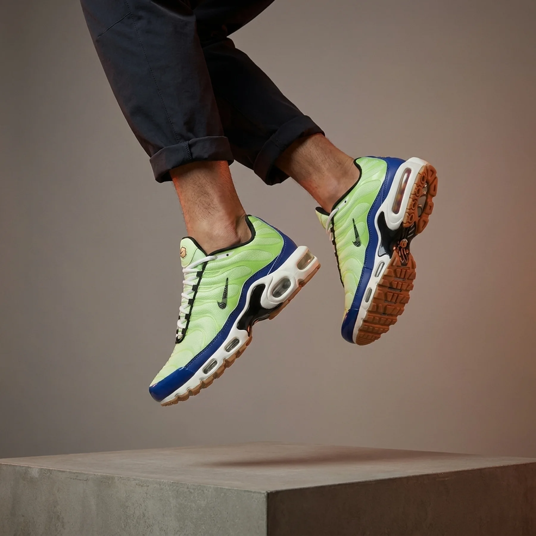 Кросівки чоловічі Nike Air Max Plus Se (DZ0480-300)