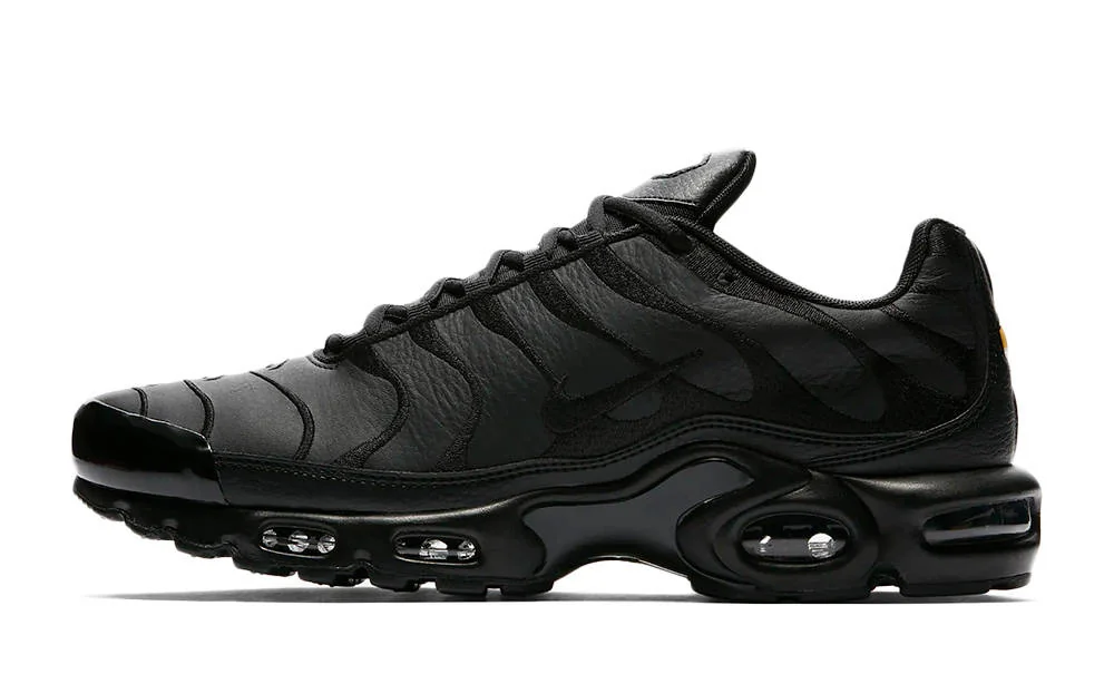 Кросівки чоловічі Nike Air Max Plus Tn 'Triple Black' (AJ2029-001)