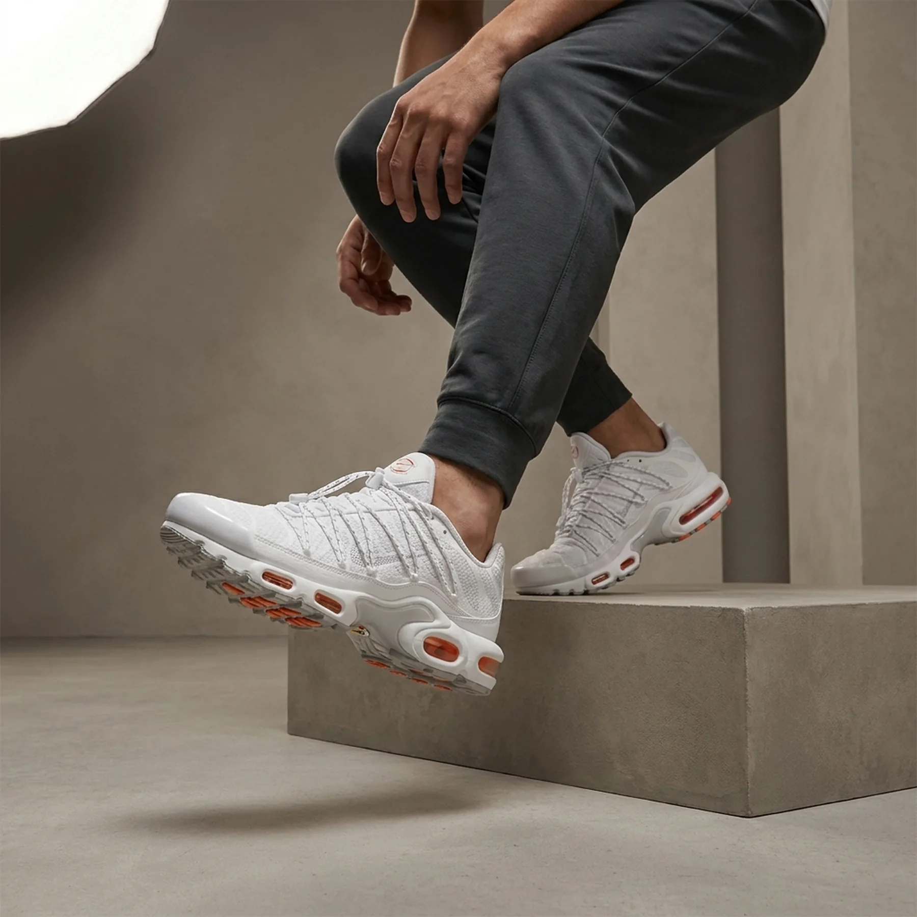 Кросівки чоловічі Nike Air Max Plus Tn (FJ4232-100)