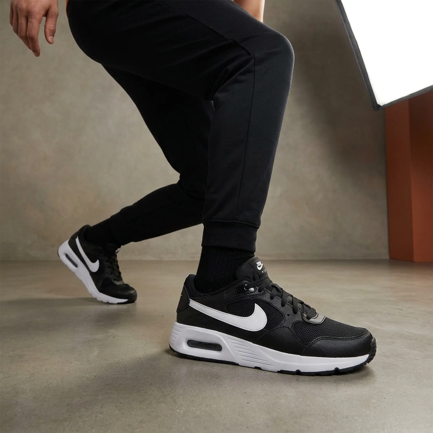 Кросівки чоловічі Nike Air Max Sc (CW4555-002)