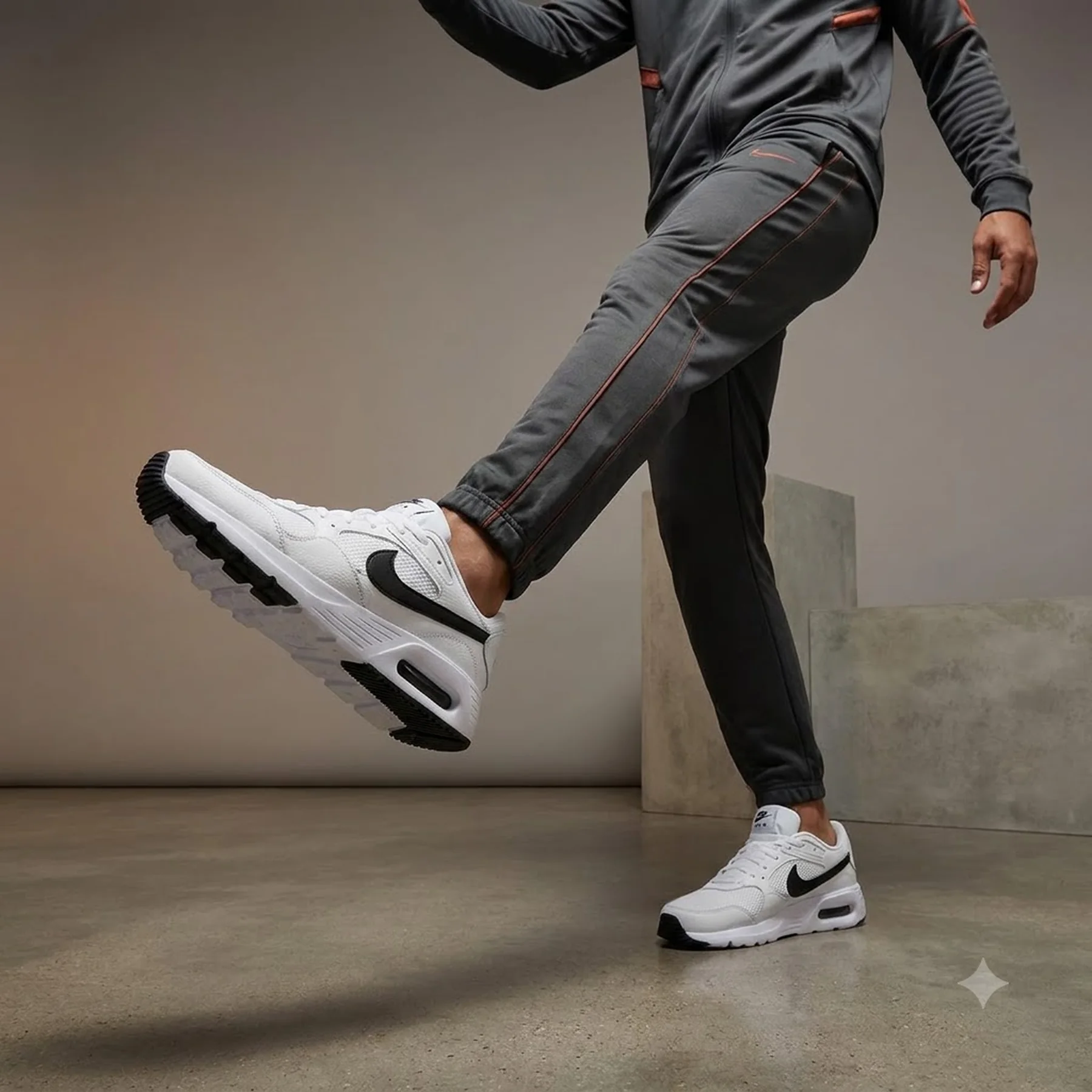 Кросівки чоловічі Nike Air Max Sc (CW4555-102)