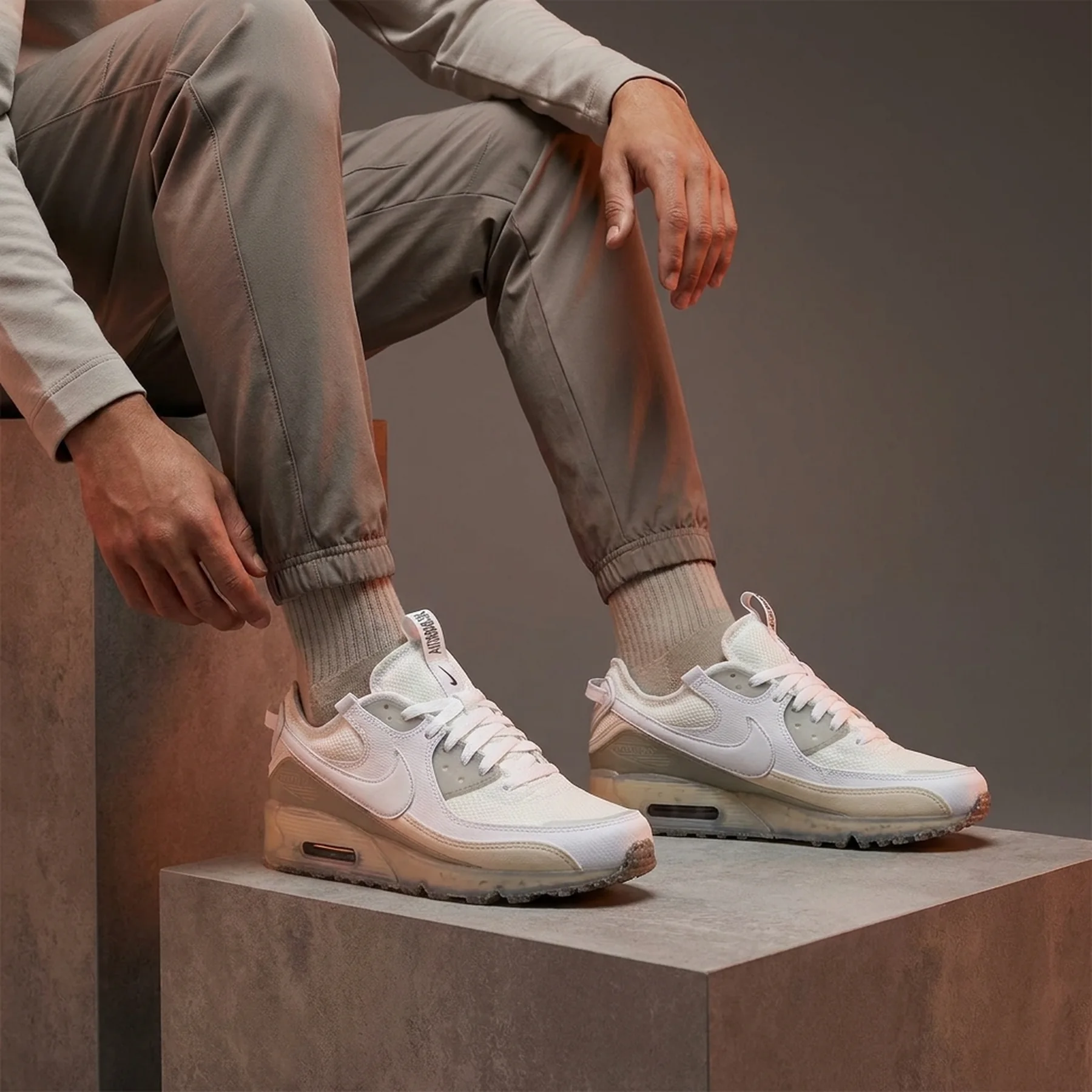 Кросівки чоловічі Nike Air Max Terrascape 90 (DQ3987-101)