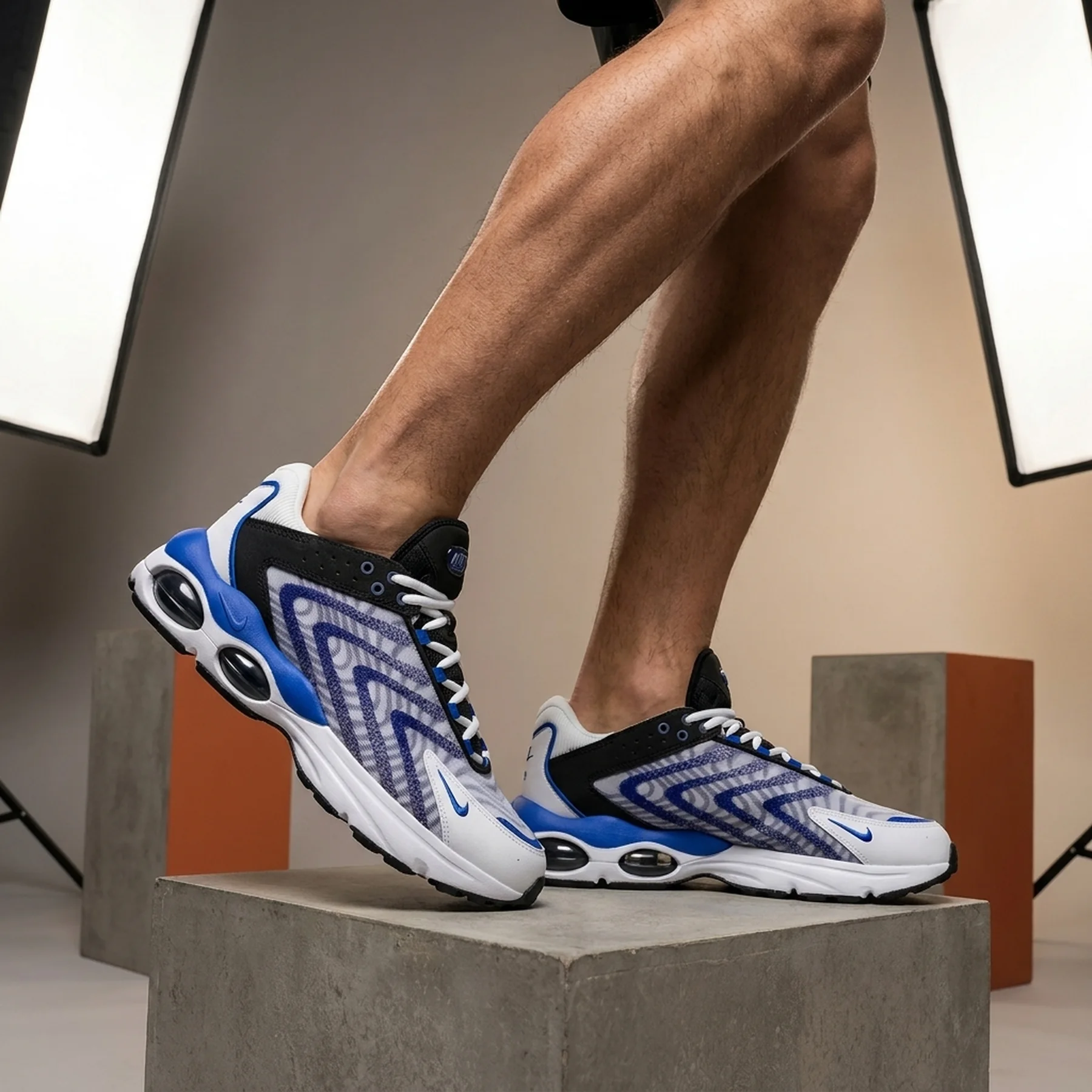 Кросівки чоловічі Nike Air Max Tw (DQ3984-105)