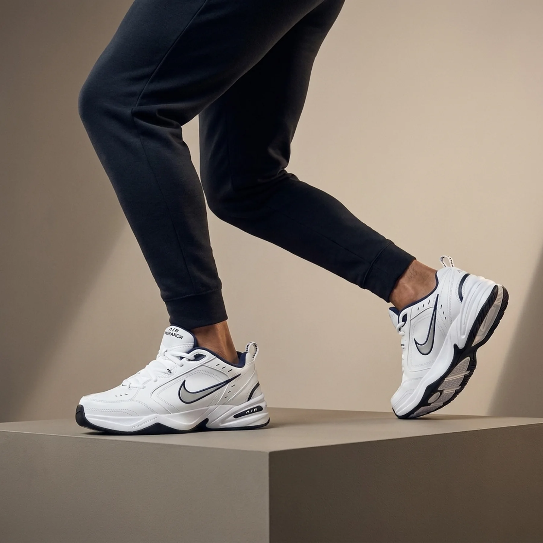 Кросівки чоловічі Nike Air Monarch Iv (415445-102)