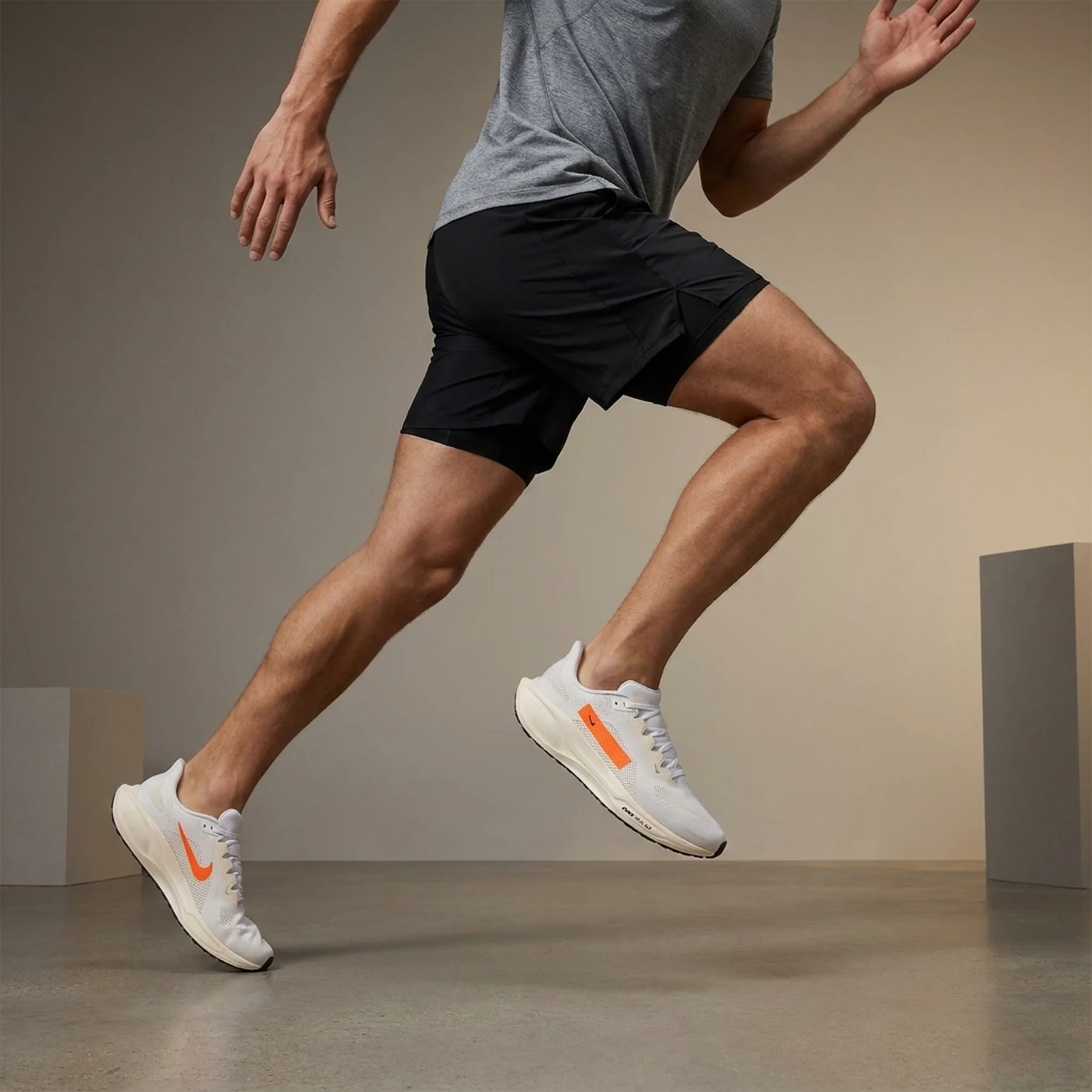 Кросівки чоловічі Nike Air Zoom Pegasus 41 (HF4300-100)