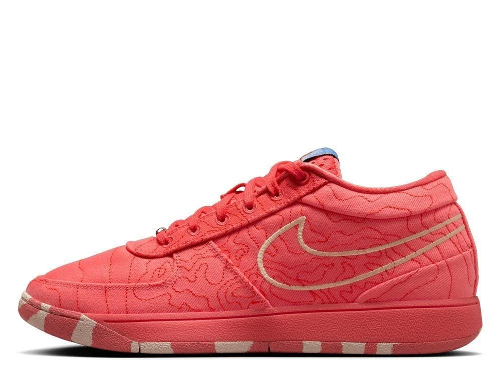 Кросівки чоловічі Nike Book 1 (IB8054-800)