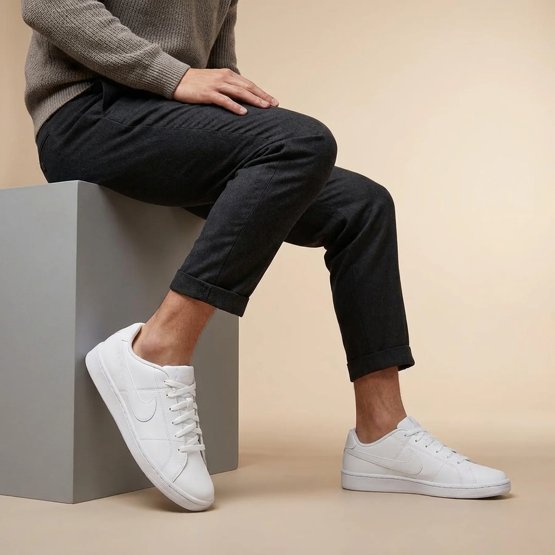 Кросівки чоловічі Nike Court Royale 2 Low (CQ9246-101)