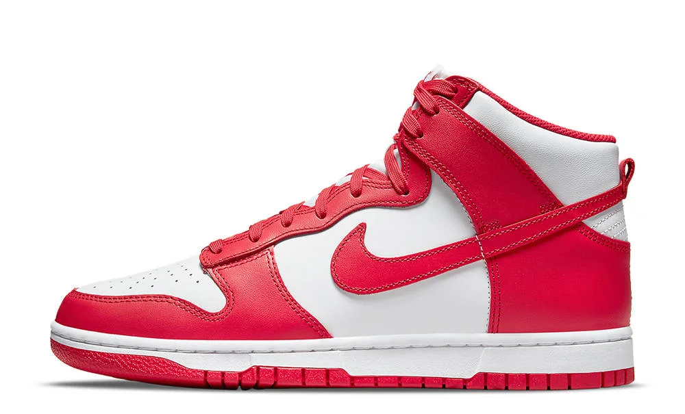 Кросівки чоловічі Nike Dunk Hi Retro (DD1399-106)