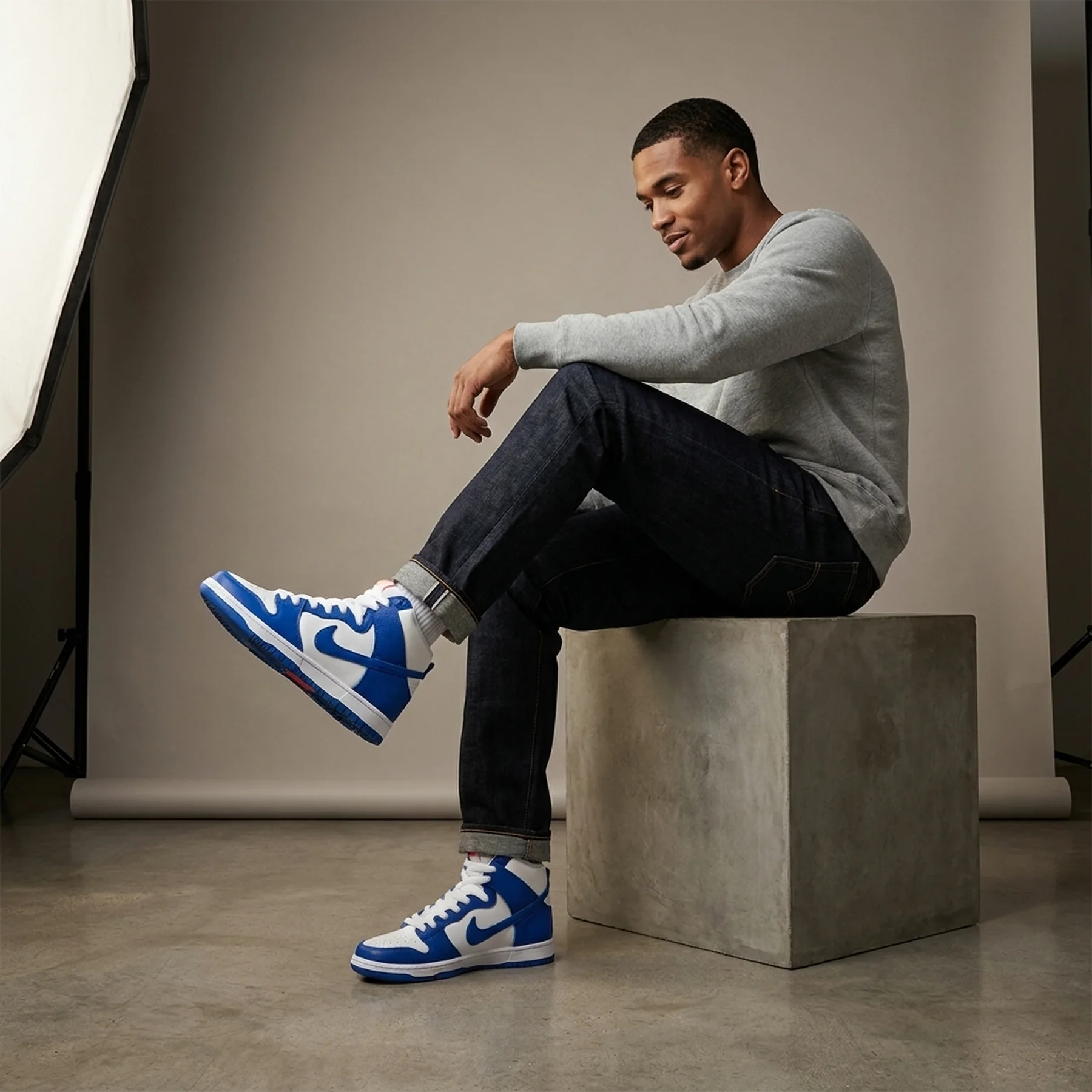 Кросівки чоловічі Nike Dunk High Pro (DH7149-400)