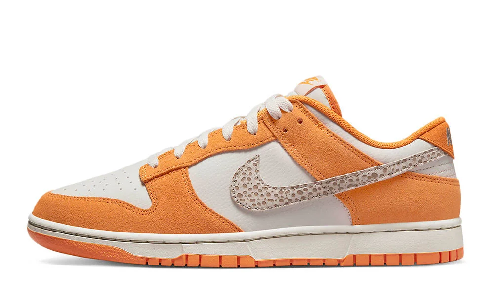Кросівки чоловічі Nike Dunk Low (DR0156-800)