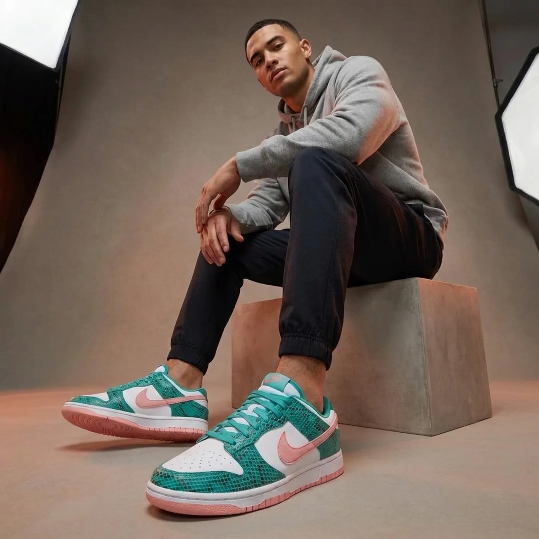 Кросівки чоловічі Nike Dunk Low (DR8577-300)