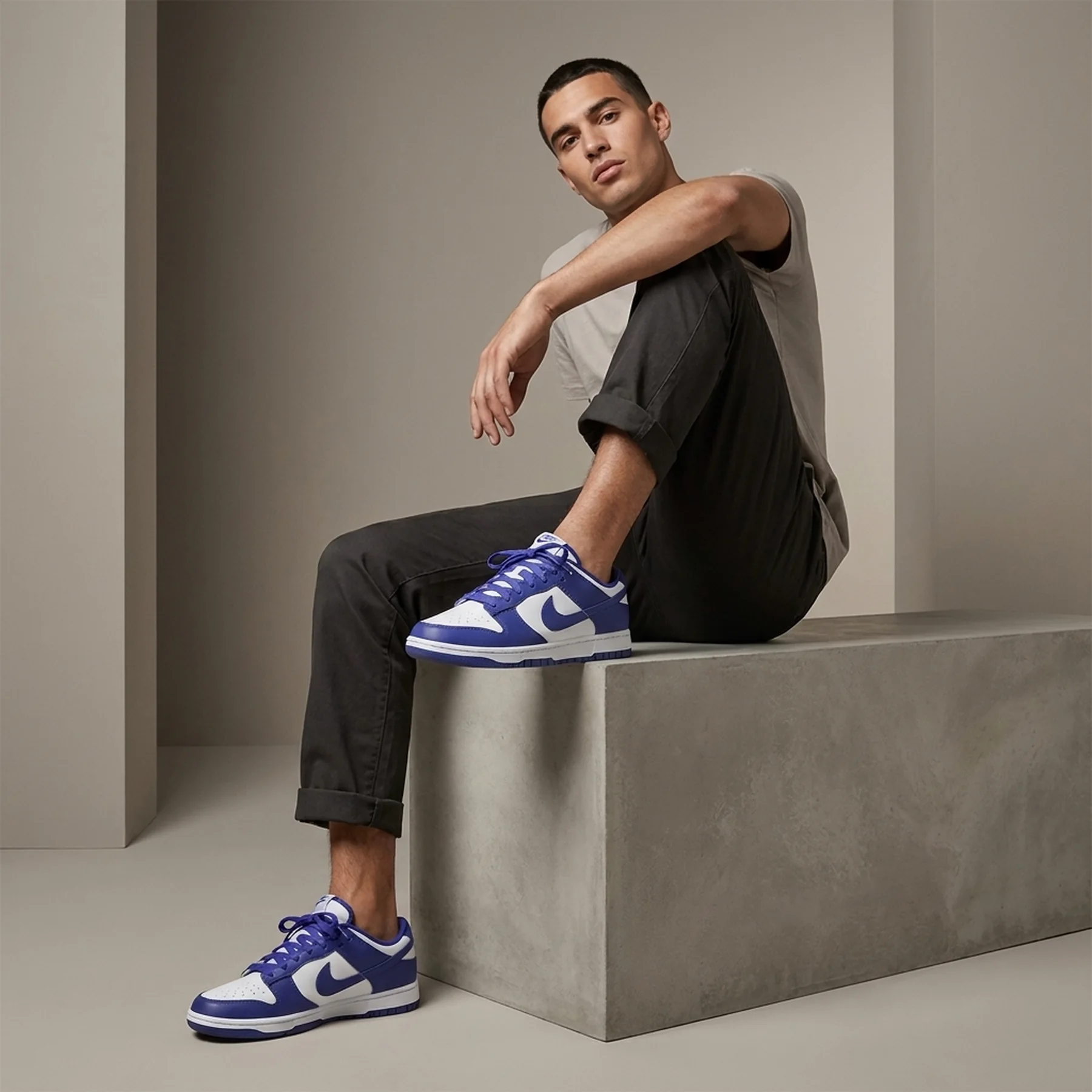 Кросівки чоловічі Nike Dunk Low (DV0833-103)