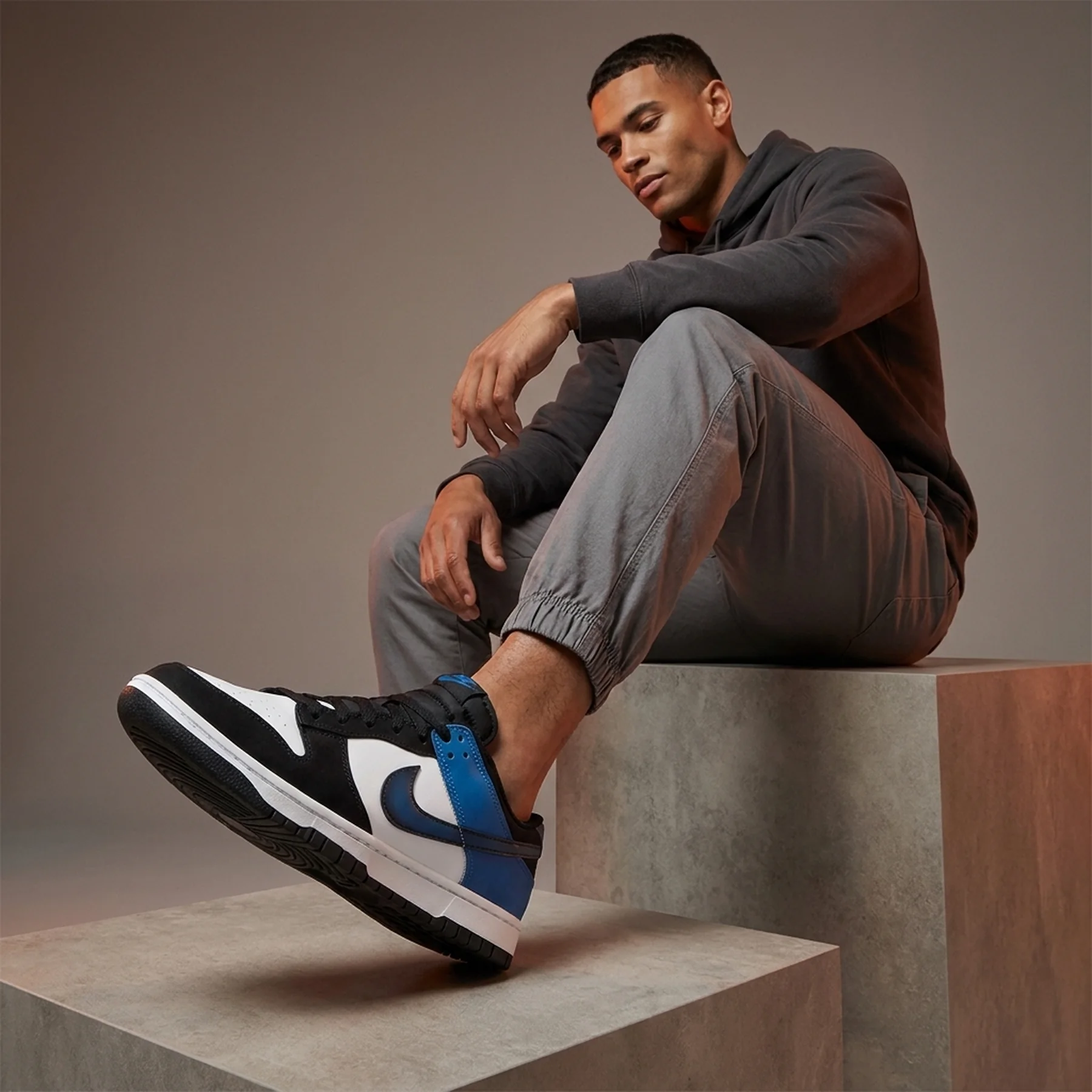 Кросівки чоловічі Nike Dunk Low (FD6923-100)
