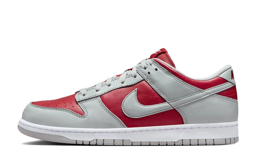 Кросівки чоловічі Nike Dunk Low (FQ6965-600)