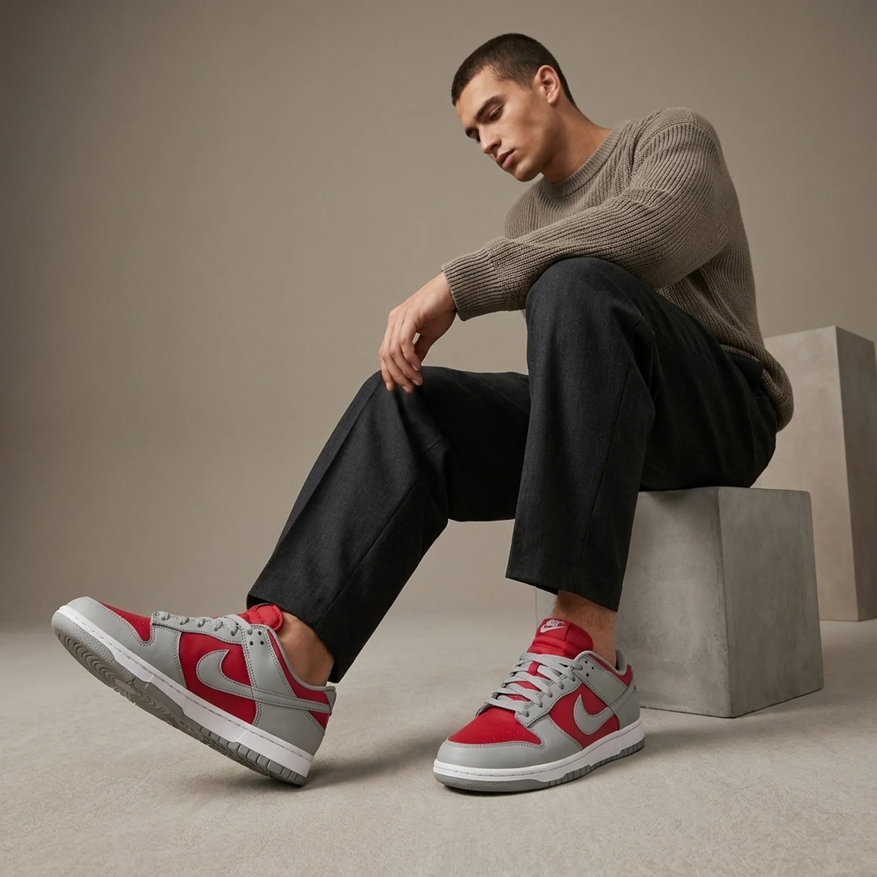Кросівки чоловічі Nike Dunk Low (FQ6965-600)