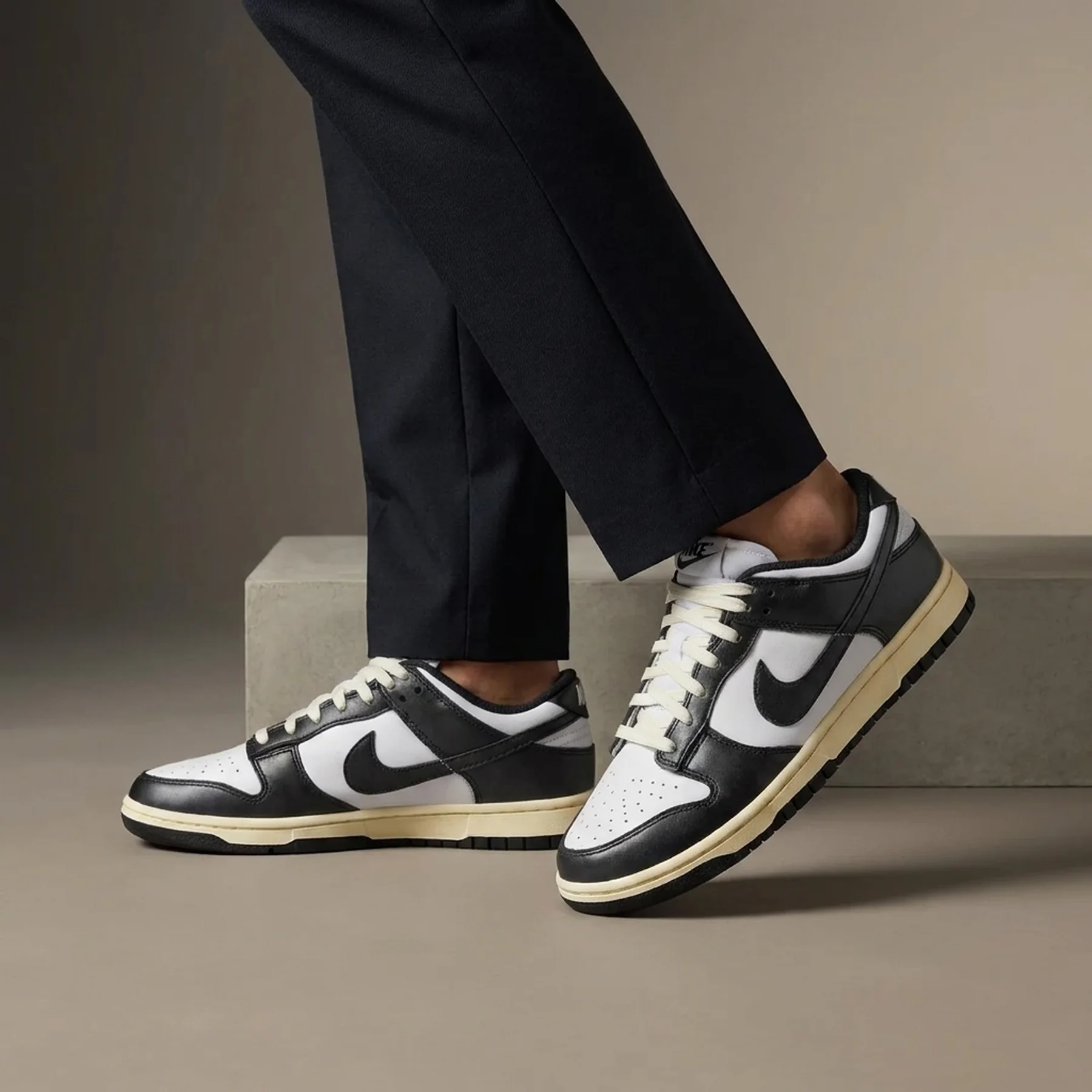 Кросівки чоловічі Nike Dunk Low (FQ8899-100)