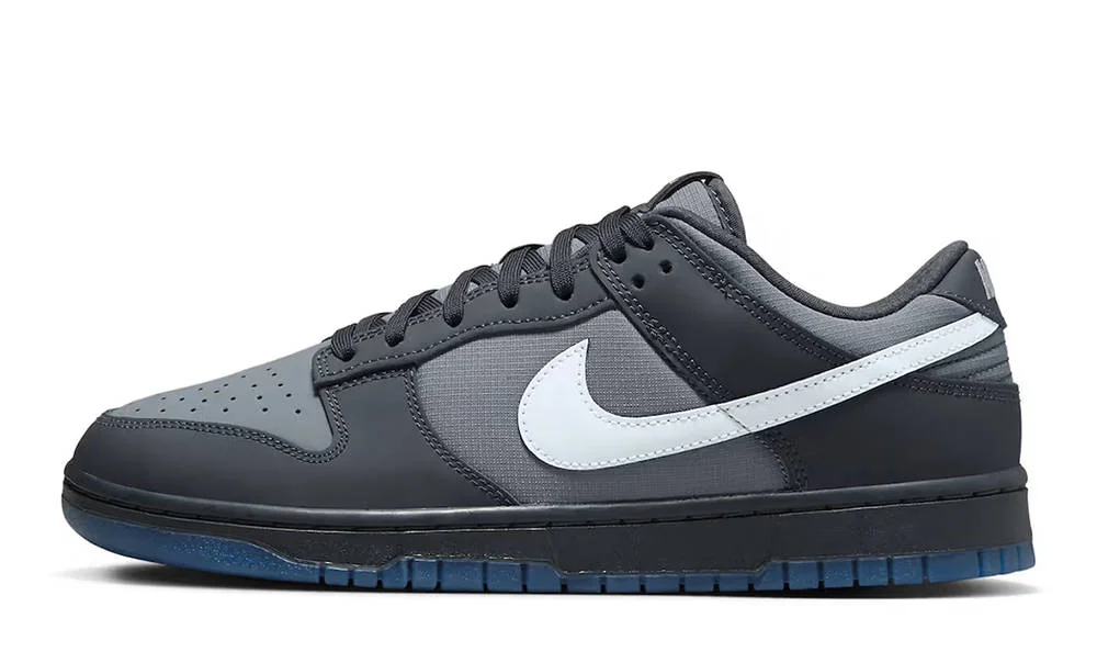 Кросівки чоловічі Nike Dunk Low (FV0384-001)