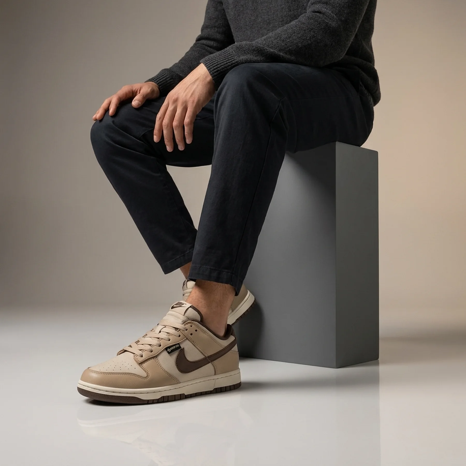 Кросівки чоловічі Nike Dunk Low Gore-Tex Beige/Brown (HQ2053-002)