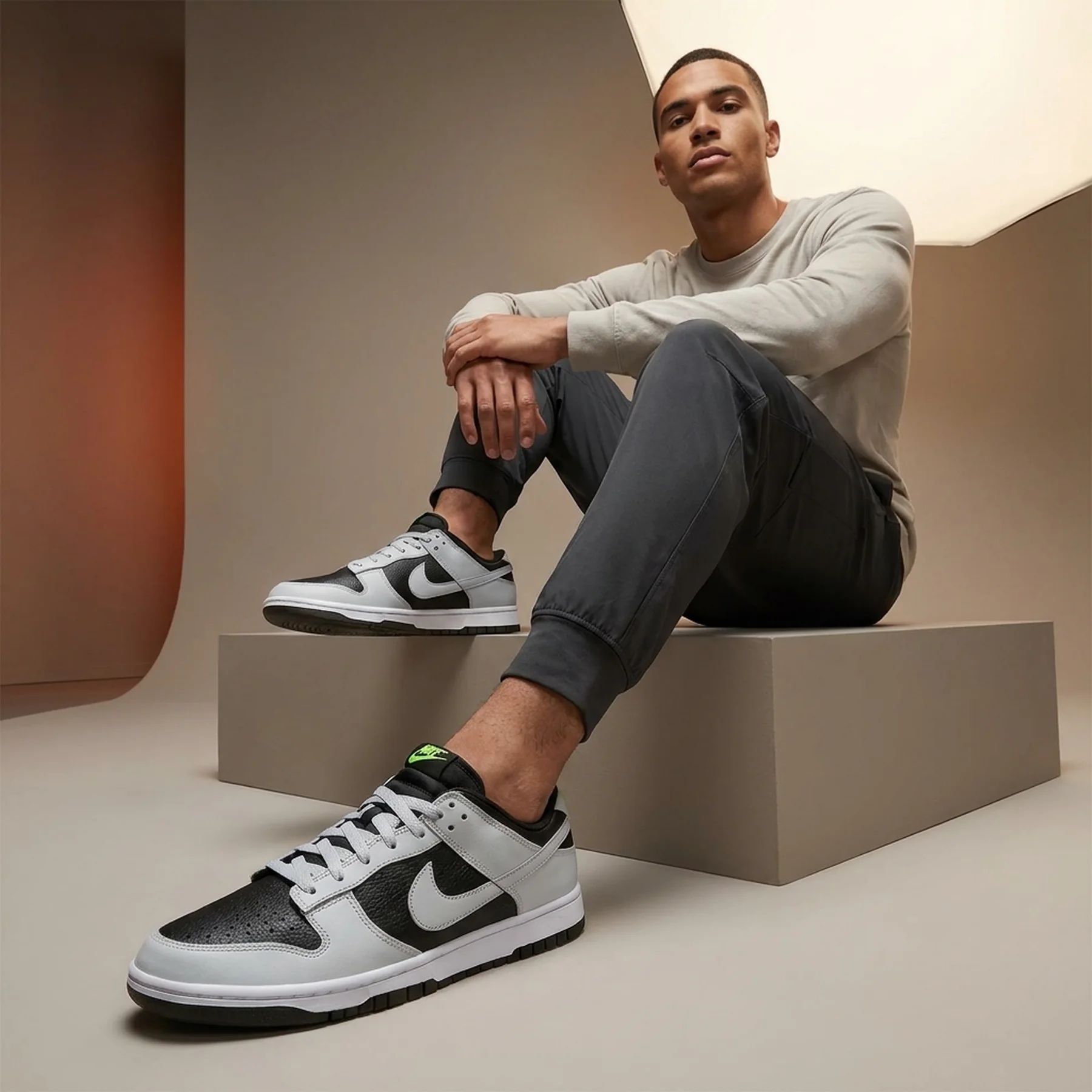 Кросівки чоловічі Nike Dunk Low Grey Panda Volt (FD9756-001)