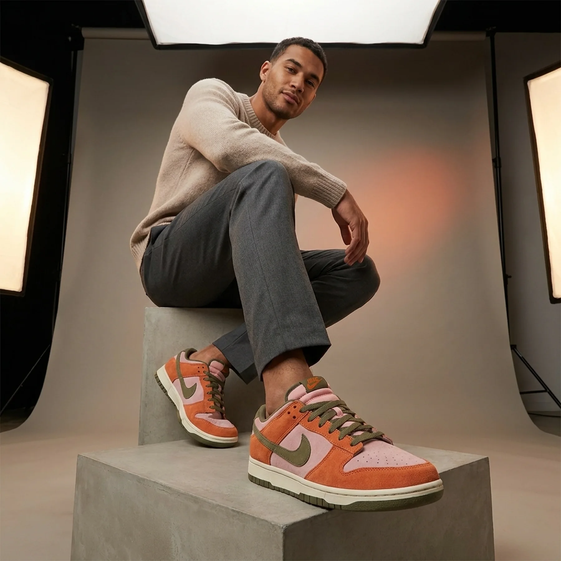Кросівки чоловічі Nike Dunk Low (HJ4135-600)