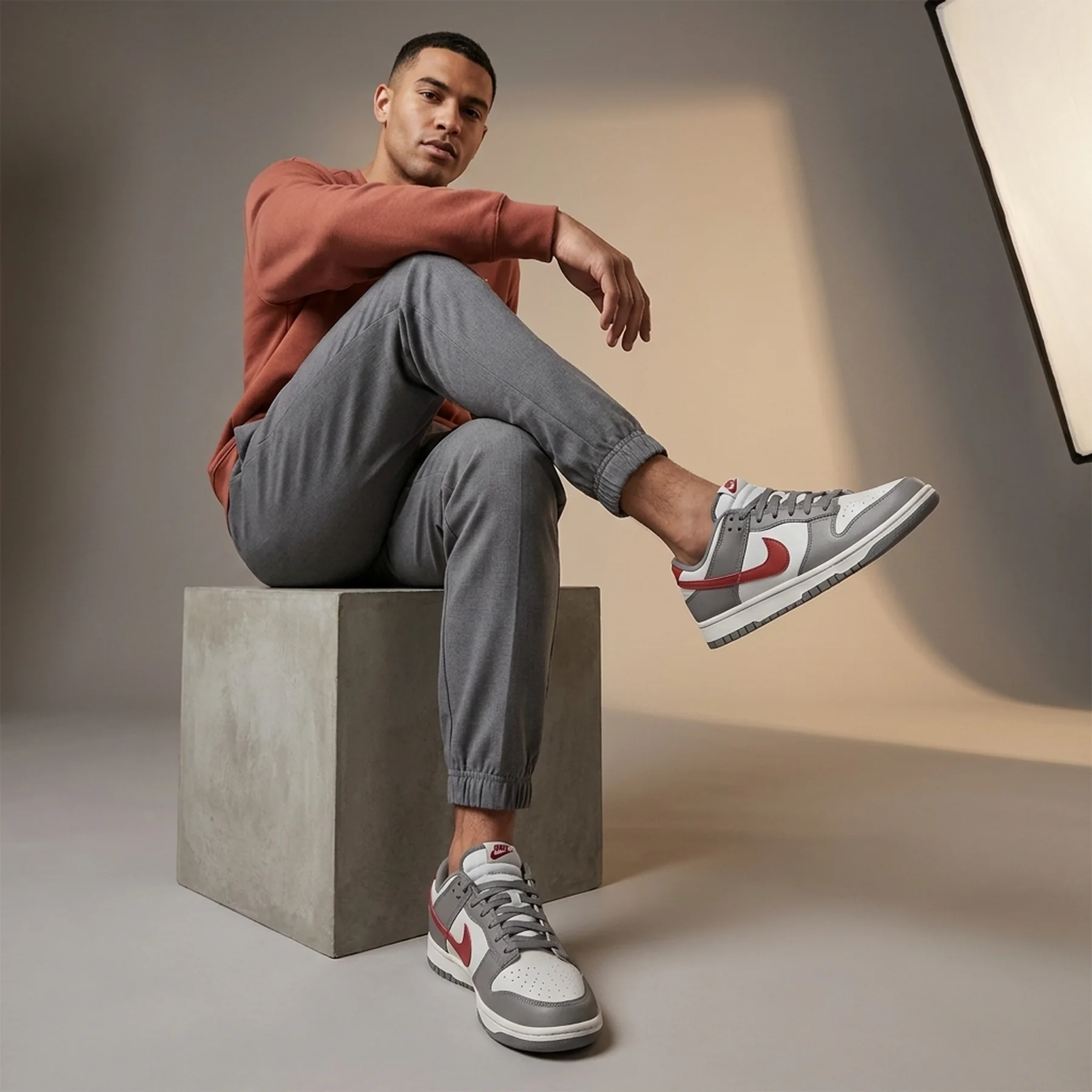 Кросівки чоловічі Nike Dunk Low Light Iron (HJ9093-030)