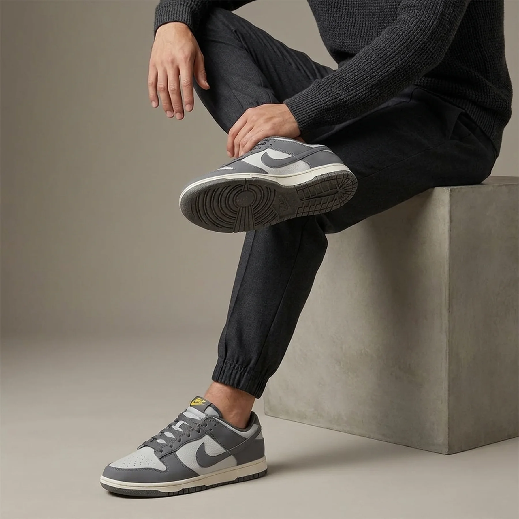 Кросівки чоловічі Nike Dunk Low Next Nature (FZ4621-001)