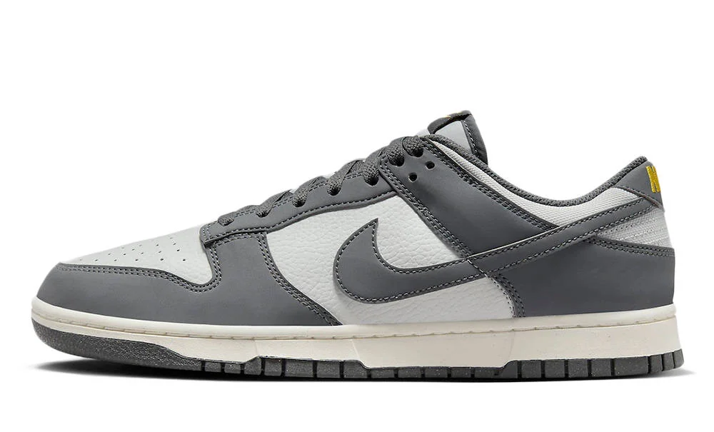 Кросівки чоловічі Nike Dunk Low Next Nature (FZ4621-001)