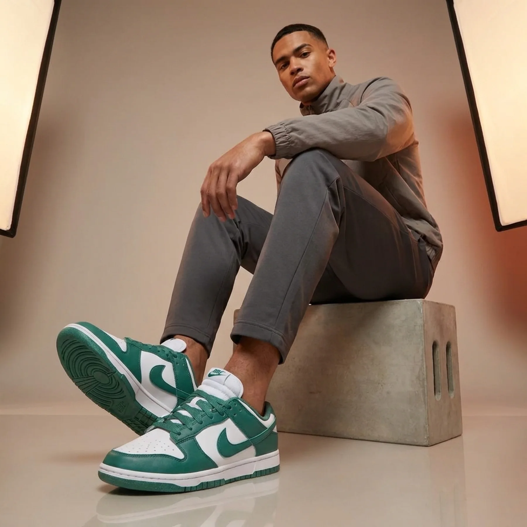 Кросівки чоловічі Nike Dunk Low Nn (DD1873-107)