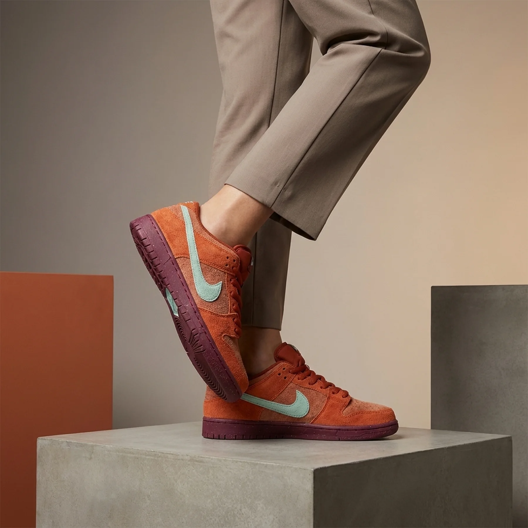 Кросівки жіночі Nike Sb Dunk Low Pro Prm (DV5429-601)