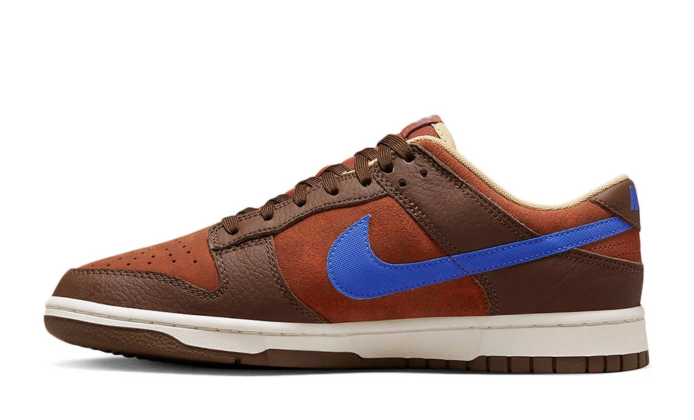 Кросівки чоловічі Nike Dunk Low Retro (DR9704-200)