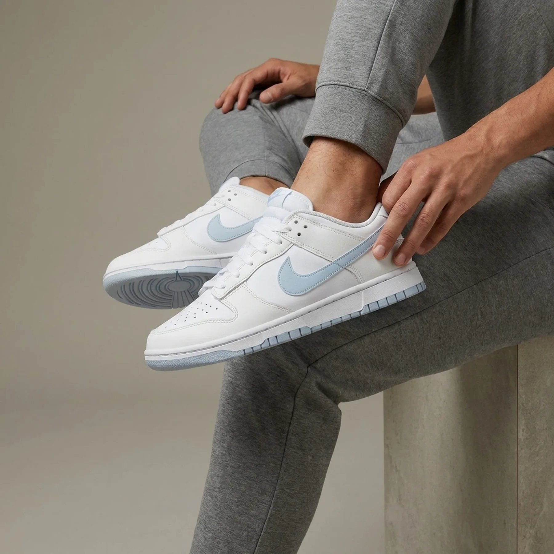 Кросівки чоловічі Nike Dunk Low Retro (DV0831-109)