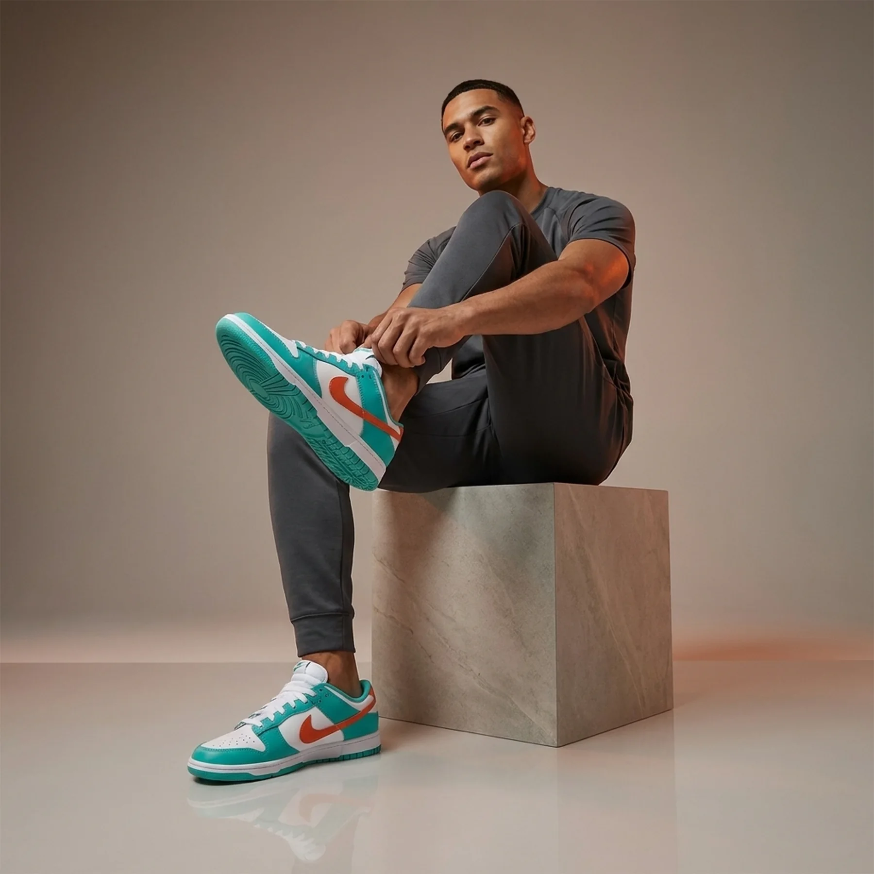 Кросівки чоловічі Nike Dunk Low Retro (DV0833-102)