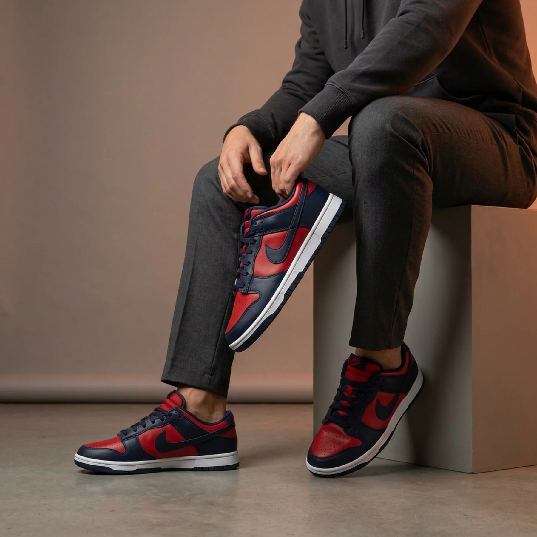 Кросівки чоловічі Nike Dunk Low Retro (DV0833-601)