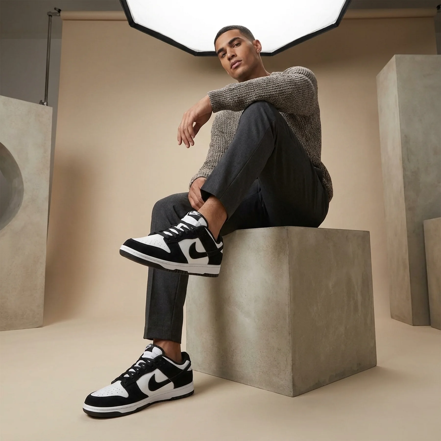 Кросівки чоловічі Nike Dunk Low Retro (FQ8249-100)
