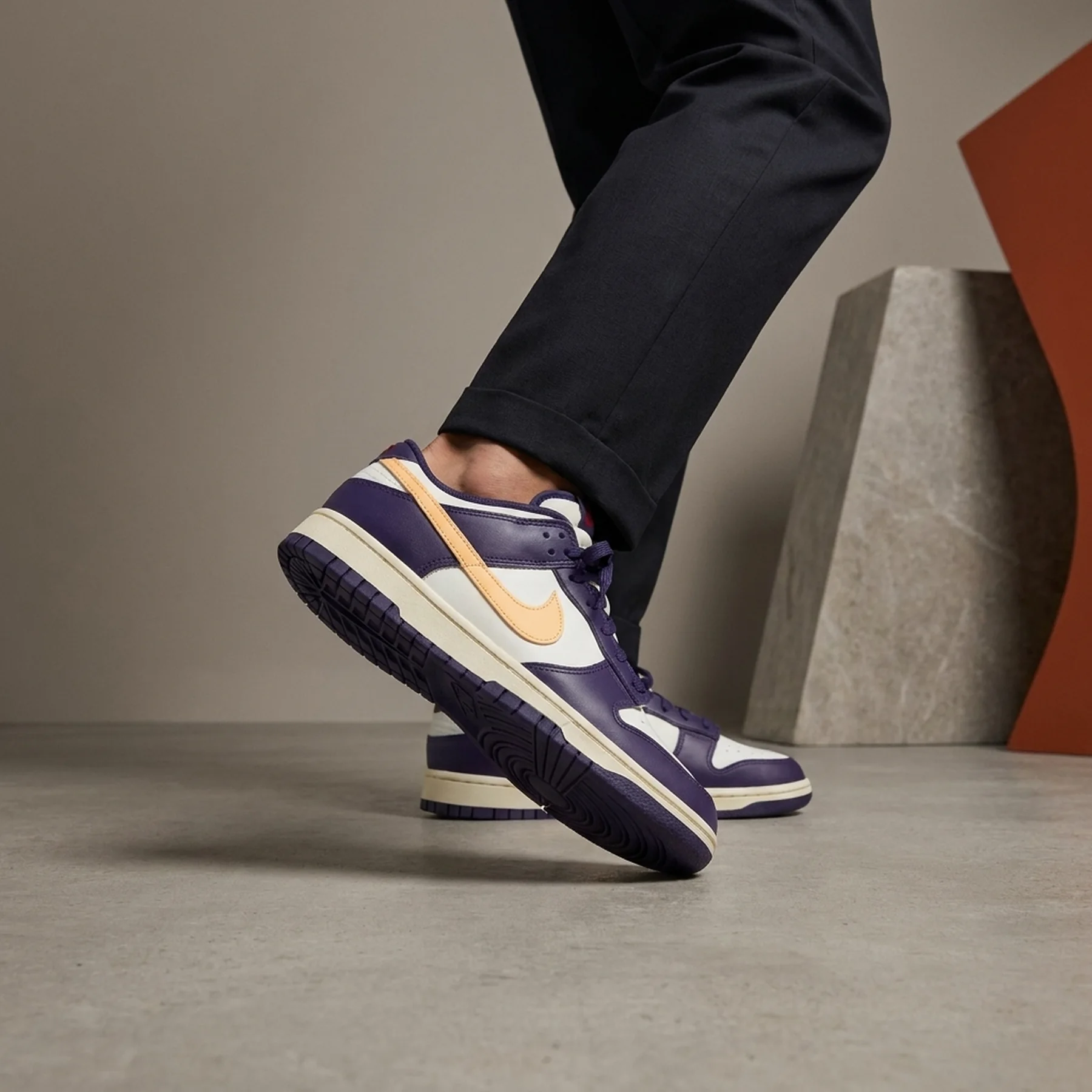 Кросівки чоловічі Nike Dunk Low Retro (FV8106-181)