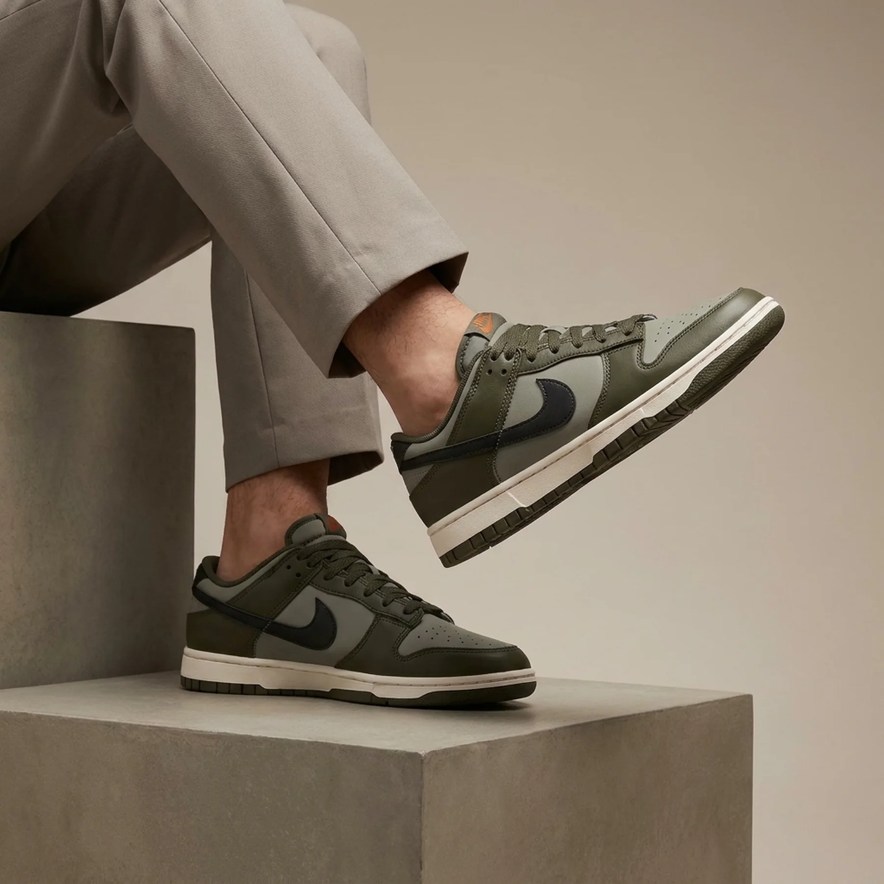 Кросівки чоловічі Nike Dunk Low Retro (HF5441-300)