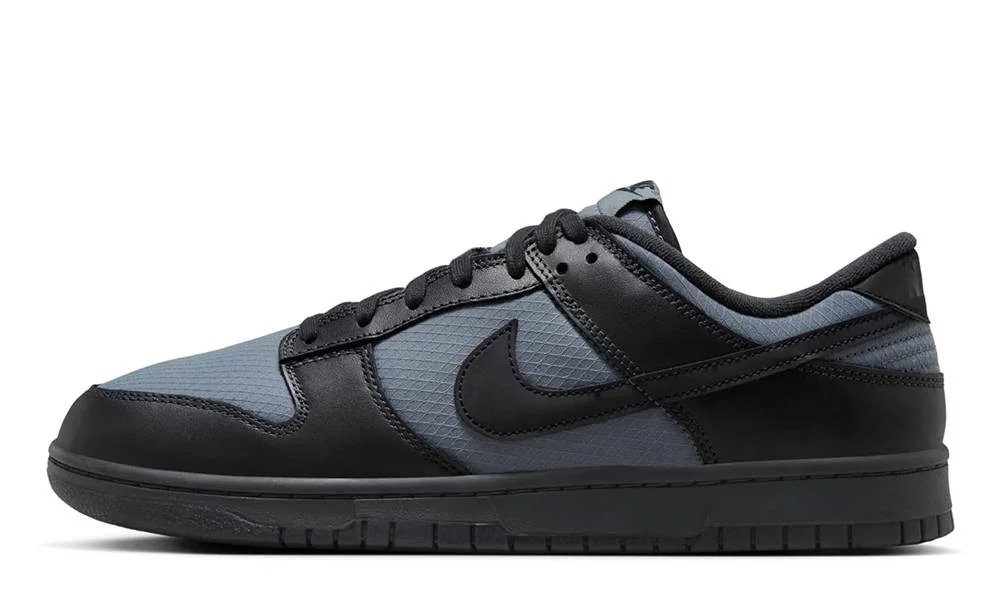Кросівки чоловічі Nike Dunk Low Retro Se (FZ3052-001)